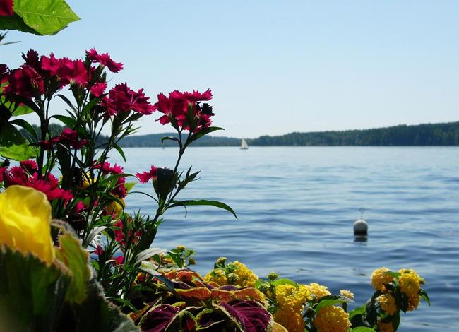 Lepa misel za lepši dan. (foto: freeimages.com)