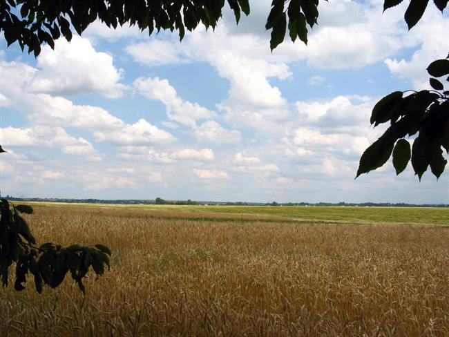 Lepa misel za lepši dan. (foto: freeimages.com)