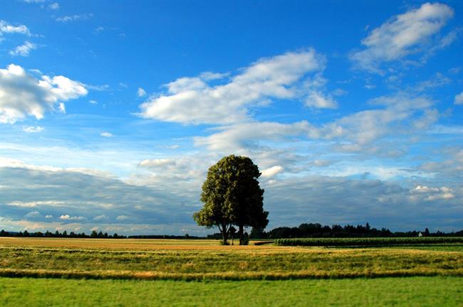 Lepa misel za lepši dan. (foto: freeimages.com)