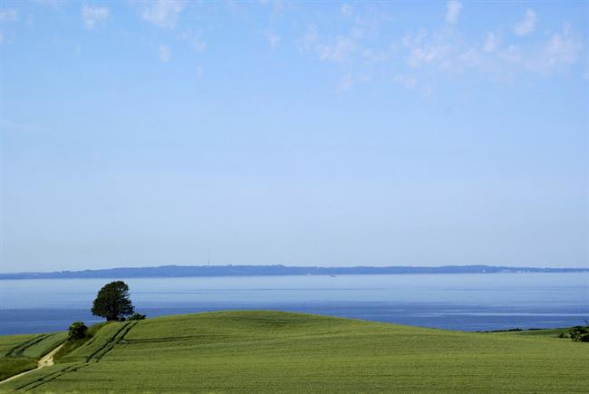 Lepa misel za lepši dan. (foto: freeimages.com)