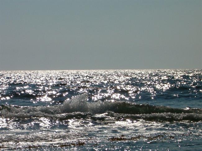 Lepa misel za lepši dan. (foto: freeimages.com)