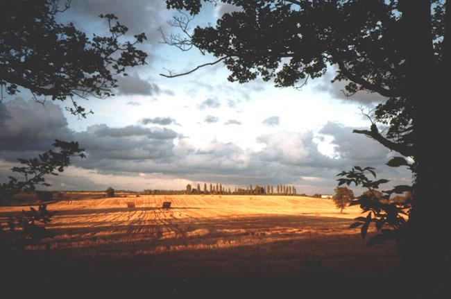 Danes bo delno jasno z občasno povečano oblačnostjo. (foto: freeimages.com)