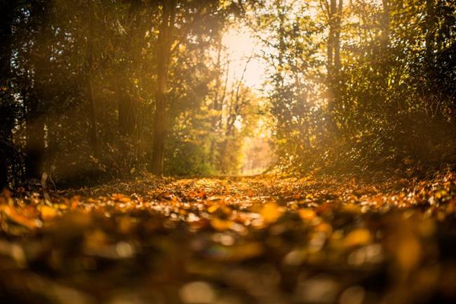 Danes zgodaj dopoldne bo dež povsod ponehal. (foto: pexels.com)