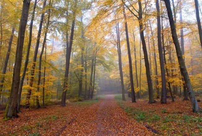 Pretežno oblačno bo. (foto: FreeDigitalPhotos.net)