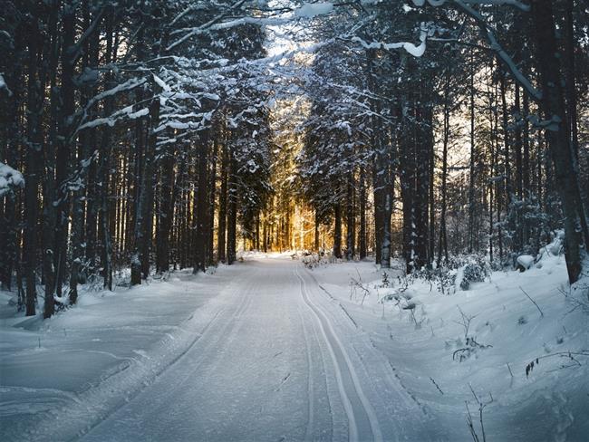 Danes bo pretežno jasno. (foto: pexels.com)