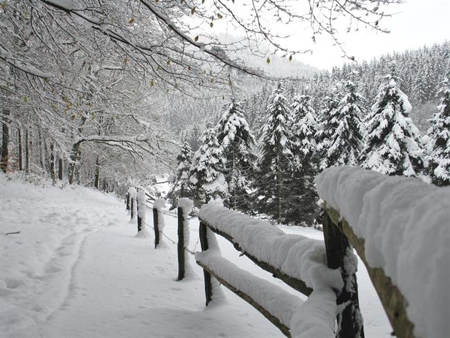 Lepa misel za lepši dan. (foto: freeimages.com)