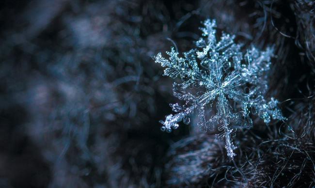 Oblačno bo s padavinami. (foto: pexels.com)