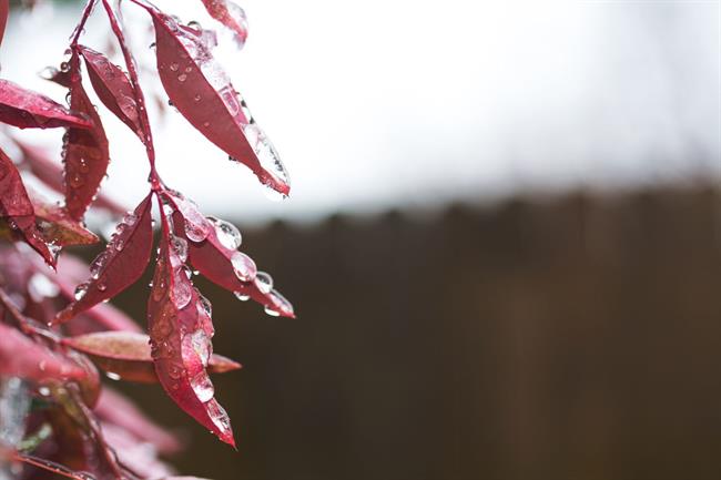 Danes bo deloma sončno in vetrovno. (foto: pexels.com)