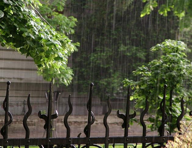Danes bo oblačno, predvsem na jugu bo še deževalo. (foto: freeimages.com)