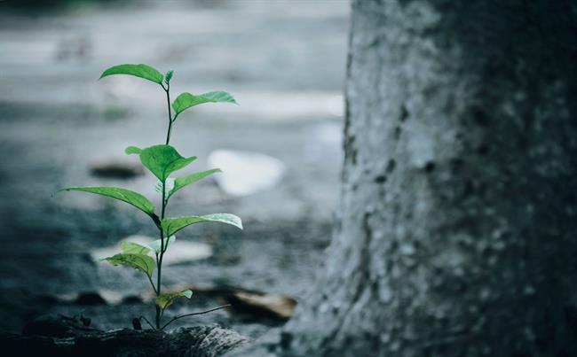 Danes in jutri bo oblačno z občasnim dežjem, danes lahko tudi zagrmi. (foto: pexels.com)