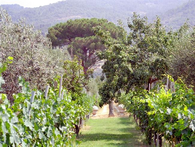 Lepa misel za lepši dan. (foto: freeimages.com)