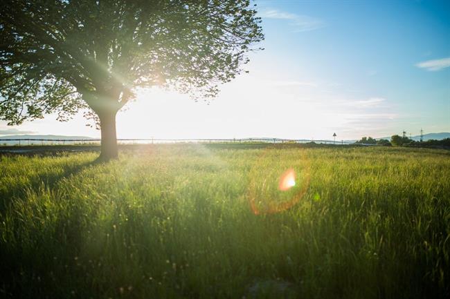 Danes bo sončno in zelo vroče. (foto: pexels.com)