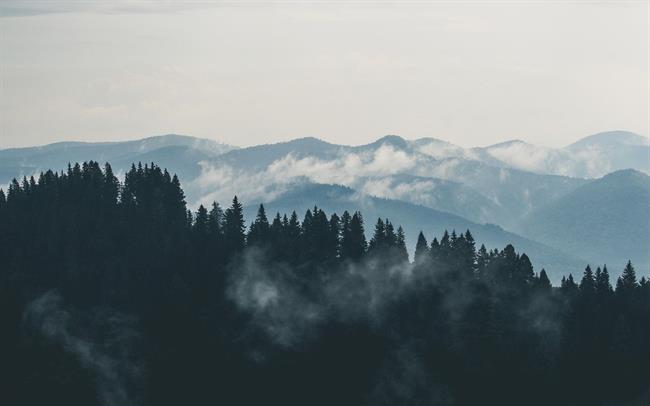 Danes in jutri bo pretežno jasno z jutranjo meglo po nižinah. (foto: pexels.com)