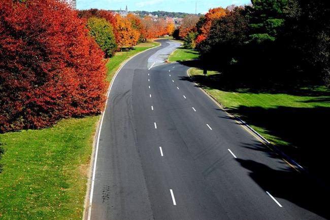 Lepa misel za lepši dan. (foto: freeimages.com)
