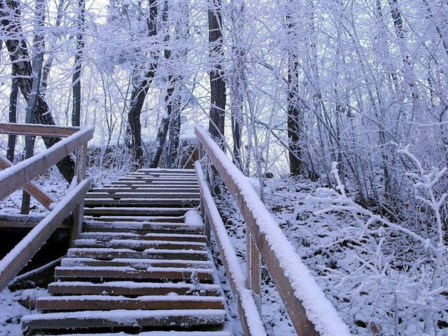 Lepa misel za lepši dan. (foto: freeimages.com)