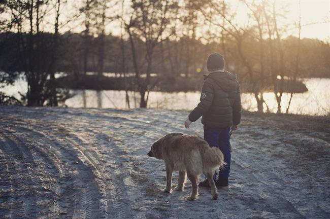 Danes bo deloma jasno, pihal bo zmeren do močan severnik. (foto: pexels.com)