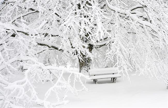 Lepa misel za lepši dan. (foro: pexels.com)