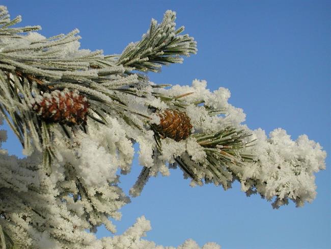 Lepa misel za lepši dan. (foto: freeimages.com)