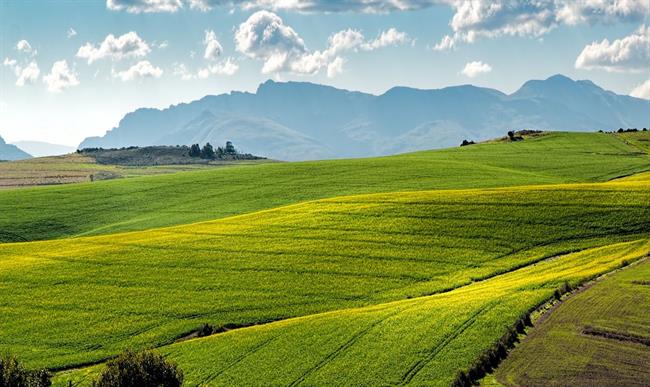 Danes in jutri bo povečini sončno. (foto: pexels.,com)