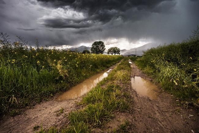 Danes bodo sprva padavine, popoldne se bo jasnilo. (foto: pexels.com)