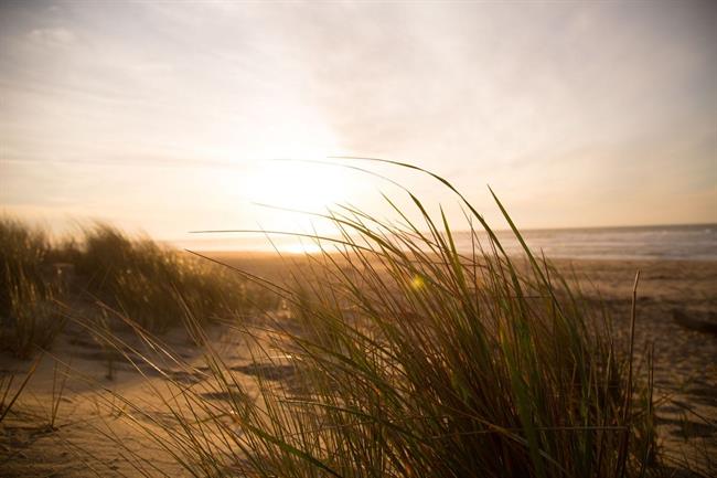 Danes in jutri bo precej jasno, a vetrovno. (foto: pexels.com)