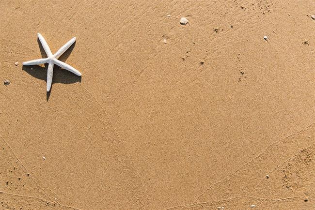 Lepa misel za lepši dan. (foto: pexels.com)