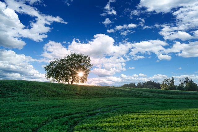 Spremenljivo oblačno bo. (foto: freeimages.com)