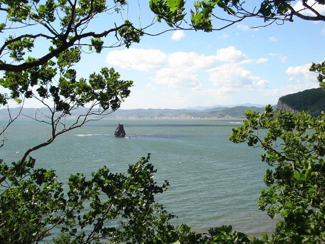 Lepa misel za lepši dan. (foto: freeimages.com)