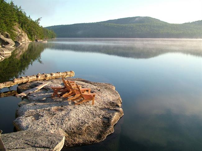 Lepa misel za lepši dan. (foto: freeimages.com)