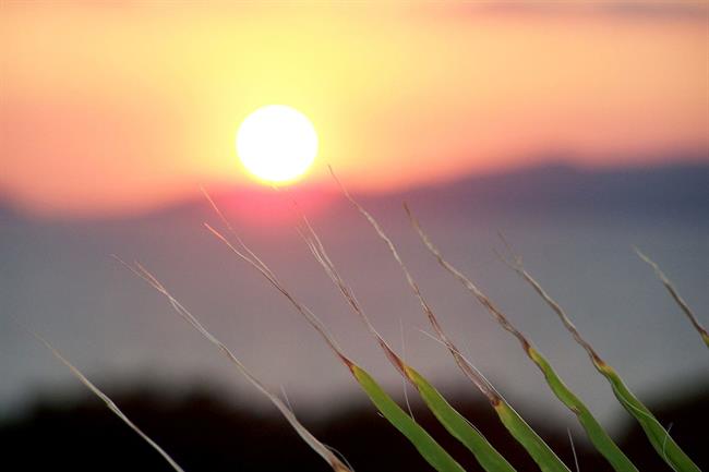 Lepa misel za lepši dan. (foto: freeimages.com)