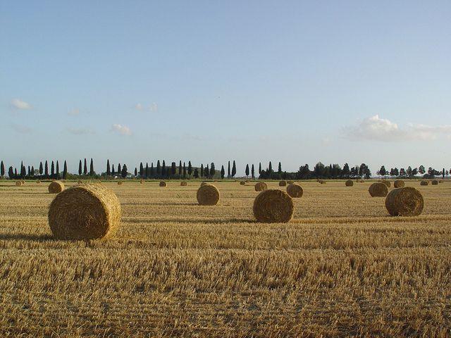 Lepa misel za lepši dan. (foto: freeimages.com)