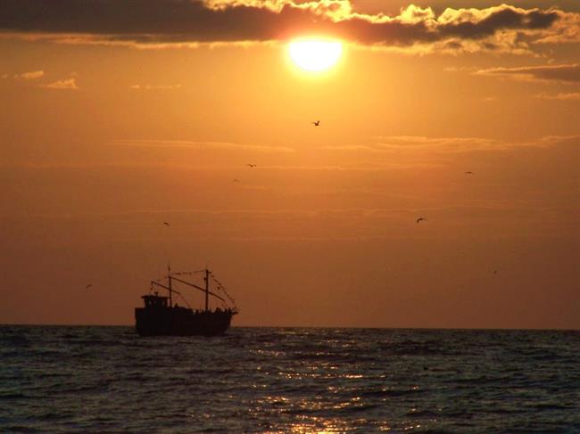 Lepa misel za lepši dan. (foto: freeimages.com)