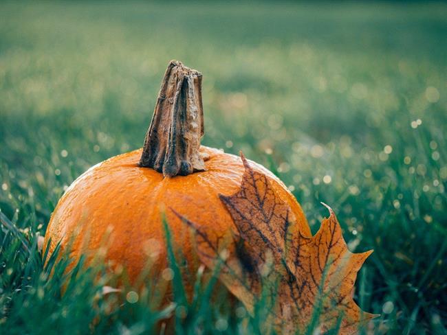 Kaj prinaša oktober? (foto: pixabay.com)