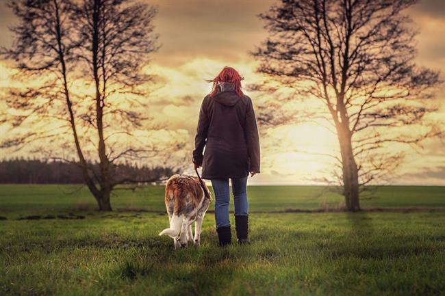 Sprehajanje psa spada med izjeme. (foto: pixabay.com)