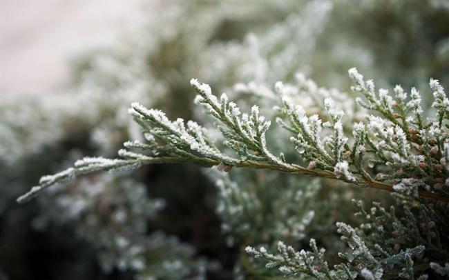 Danes bo v notranjosti snežilo, po nižinah Primorskem pa deževalo. (foto: pexels.com)