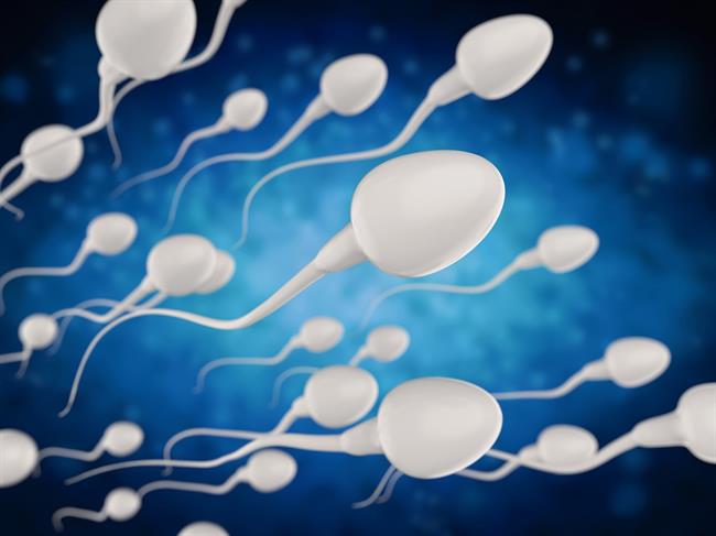 Sperma ima številne neverjetne lastnosti, ki jih večina sploh ne poznamo. (Foto: Freepik.com)