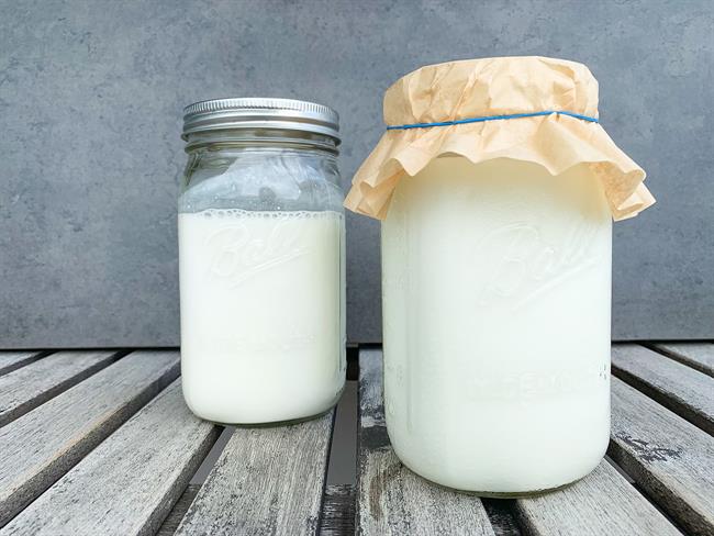Kefir lahko pripravite iz surovega kravjega ali kozjega mleka. (Foto: Freepik.com)