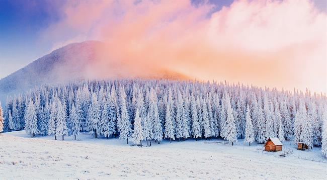 Ali vstopate v svet in odnose s takšno nežnostjo, prijaznostjo in ljubeznijo, kot se sneg dotika narave? (Foto: Freepik.com)
