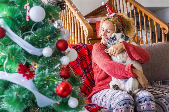 Že nekaj časa razmišljate o domačem ljubljenčku? Podarite si najlepšo božično darilo in posvojite kužka ali mucko. (Foto: Freepik.com)