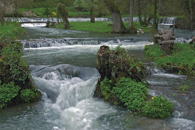 Reka Temenica pod izvirom. (Foto: Marko Pršina, spletna stran občine Mirna peč)