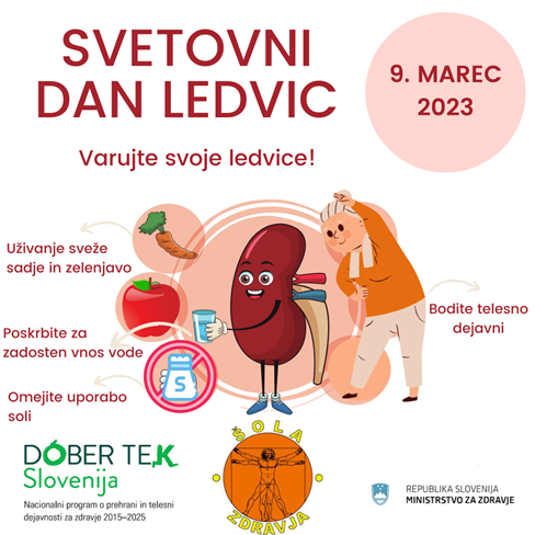 9. marec je Svetovni dan ledvic. (Foto: 