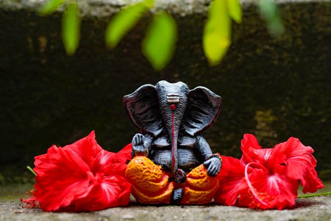 	Simbol slona prinaša srečo, bogastvo in ljubezen. (foto: Freepik.com)