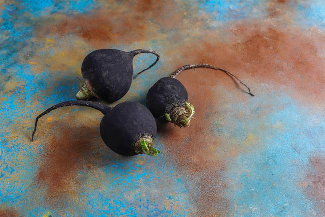 Črna redkev je zelo zdravilna rastlina. (foto: Freepik.com)