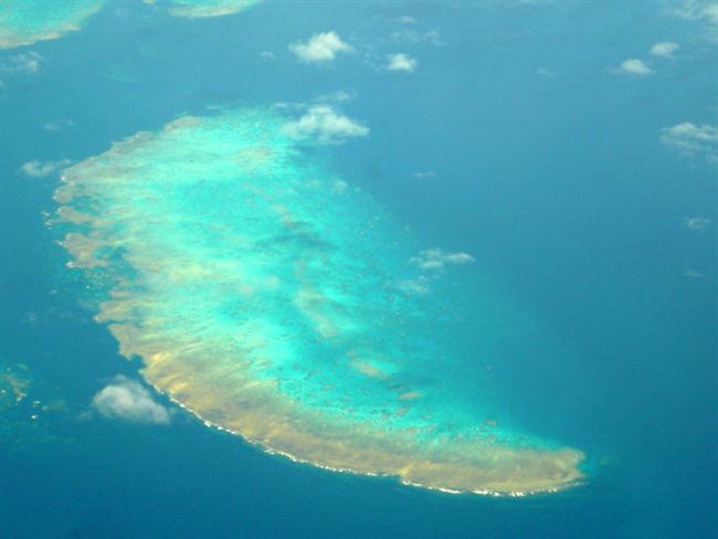 Veliki koralni greben v Avstraliji. (foto: www.sxc.hu)