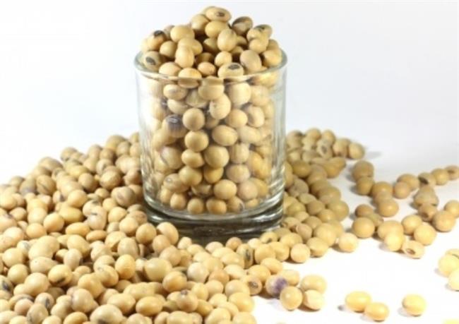 Biološko pridelana soja je zdrava in lahko nadomesti mesni obrok. (foto: www.sxc.hu)