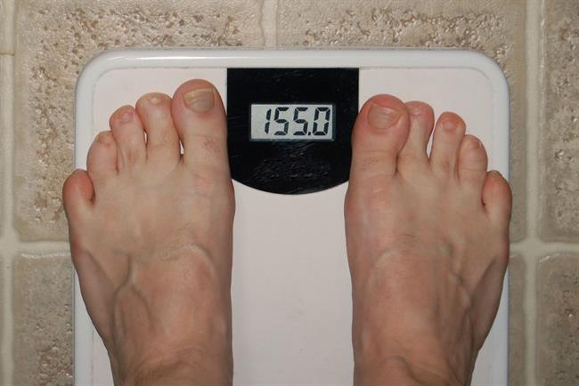 Zdrava debelost je neresničen mit. (foto: www.sxc.hu)