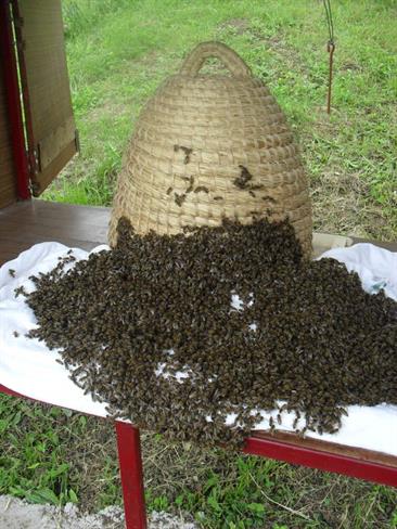 Pomembno je, katere materiale v čebelarstvu uporabljamo. (foto: Boštjan Tovornik)
