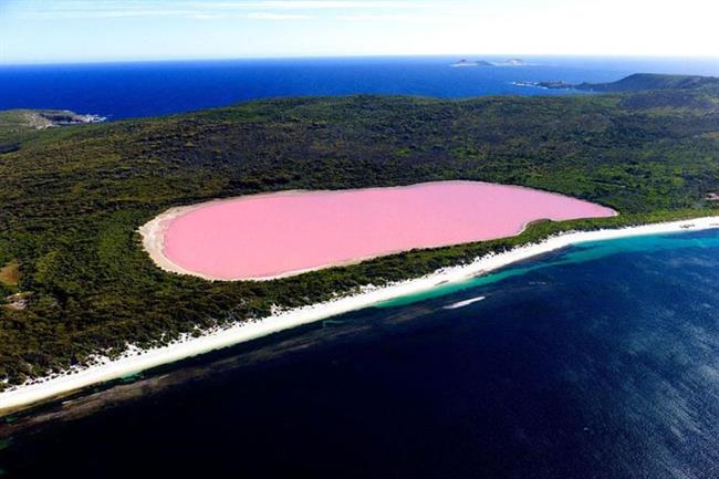 Jezero Hillier, Avstralija (foto: www.boredpanda.com)