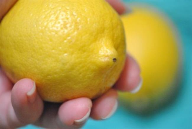 Limona je nepogrešljiva. (foto: www.123rf.com)