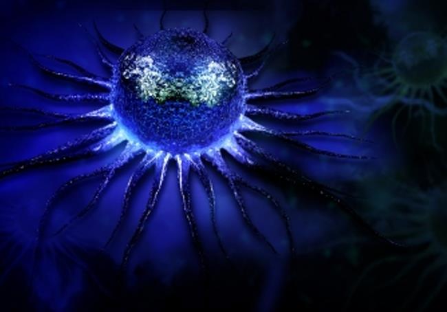 Izvleček pelina napada le rakave celice. (foto: FreeDigitalPhotos.net)